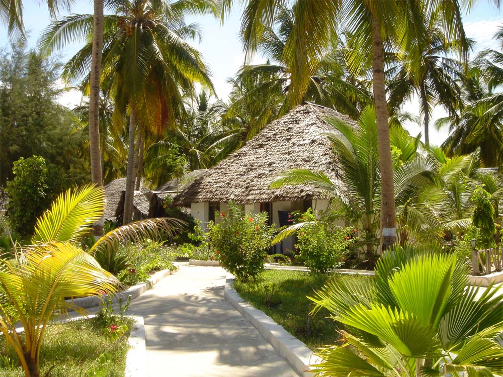 Hotelltrdgrd i Paje. (Zanzibar, Tanzania)