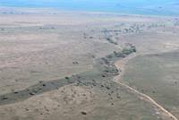 Seronerafloden nra dess klla. (Centrala Serengeti National Park, Tanzania)