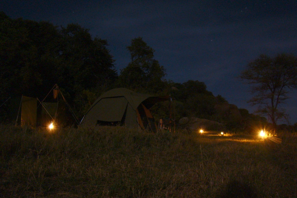 Mnskensnatt p mobil camp. (Moru Kopjes i sdra Serengeti National Park, Tanzania)