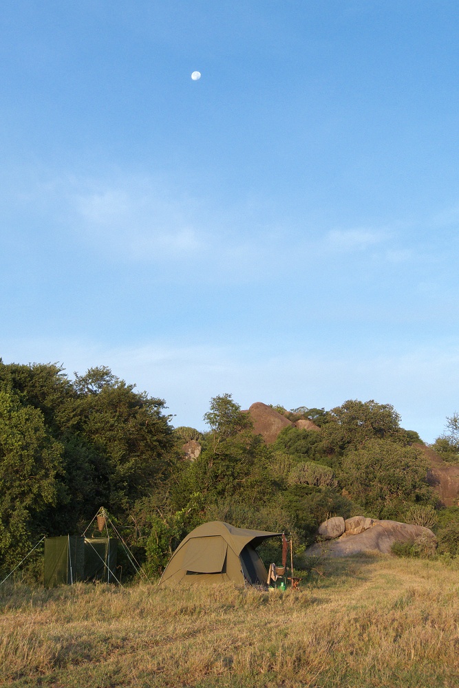 Tlt p mobil camp. (Moru Kopjes i sdra Serengeti National Park, Tanzania)