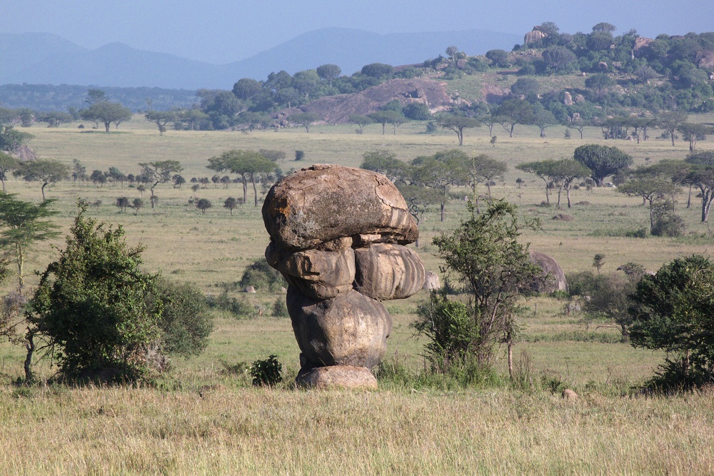 Formerna i det miljardriga urberget har uppsttt genom erosion. (Moru Kopjes i Serengeti National Park, Tanzania)