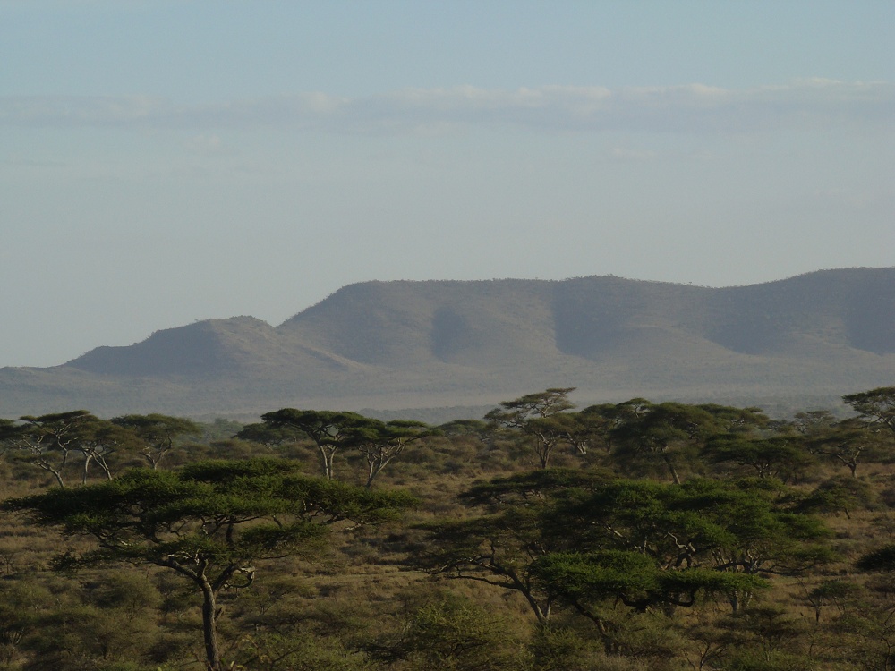 Vy över Seronera. (Centrala Serengeti National Park, Tanzania)
