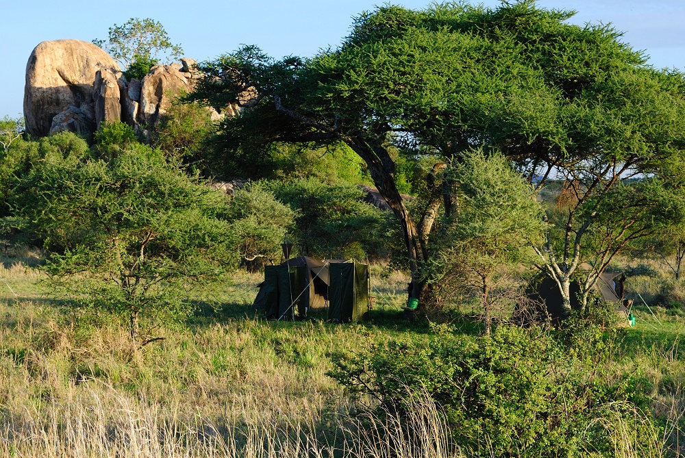 Mobil camp på special camp site Sero 1. (Centrala Serengeti National Park, Tanzania)