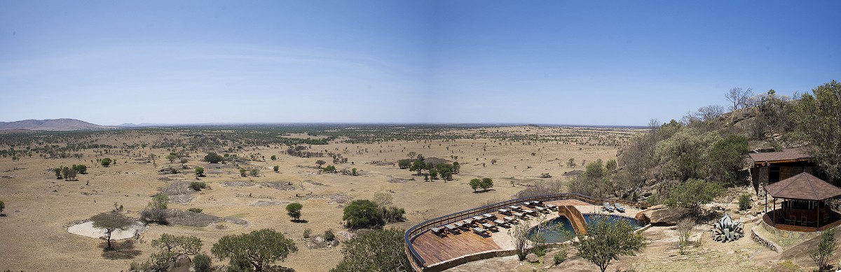 Poolomrde med utsikt p Lobo Wildlife Lodge. (Lobo i norra Serengeti National Park, Tanzania)