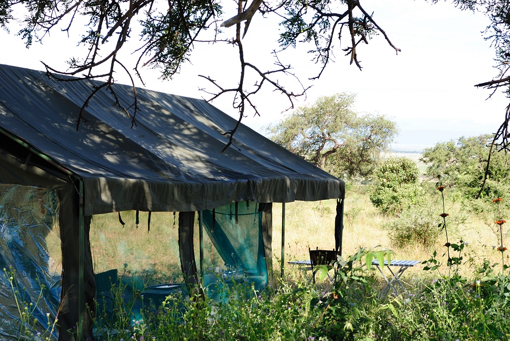 Mässtält på mobil camp. (Tarangire National Park, Tanzania)