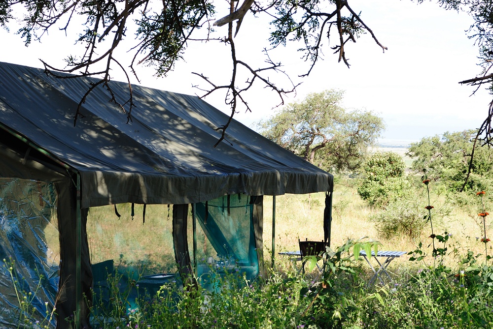 Msstlt p mobil camp. (Tarangire National Park, Tanzania)