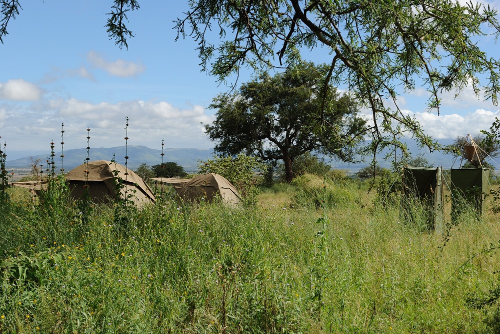 Mobil camp. (Tarangire National Park, Tanzania)