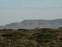 Seronera i centrala Serengeti.