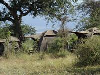 Camp i Tarangire.