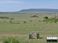 Vy frn mobil camp. (Moru Kopjes i Serengeti National Park, Tanzania)