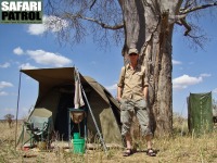 Bushliv. Safariguide p mobil camp. (Tarangire National Park, Tanzania)