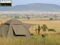 Mobil camp p special camp site David's Camp. (Moru Kopjes i sdra Serengeti National Park, Tanzania)