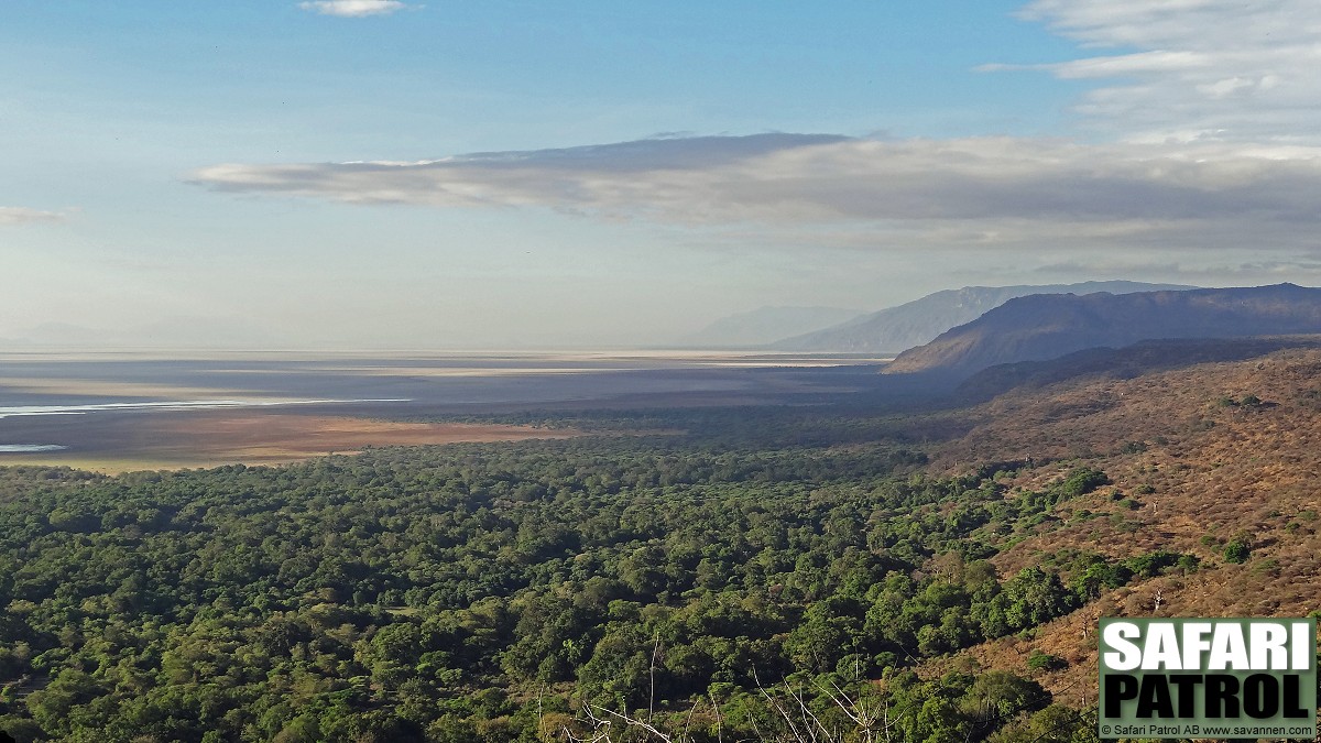 Vy frn Lake Manyara Wildlife Lodge. (Lake Manyara National Park, Tanzania)
