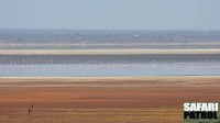 Lake Manyara National Park. (Tanzania)