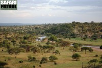 Vy ver Tarangirefloden sedd frn Tarangire Safari Lodge. (Tarangire National Park, Tanzania)