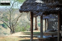 Tarangire Safari Lodge. (Tarangire National Park, Tanzania)