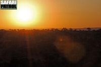 Soluppgng. (Tarangire National Park, Tanzania)