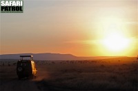 P vg mot campen i kvllningen. (Serengeti National Park, Tanzania)