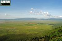 Vy frn den sdra kraterkanten. (Ngorongorokratern, Tanzania)