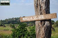 Platsen fr den mobila campen: Special camp site Moru 4. (Serengeti National Park, Tanzania)