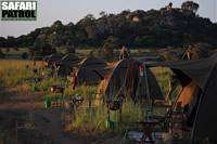 Mobil camp i Moru Kopjes. (Serengeti National Park, Tanzania)