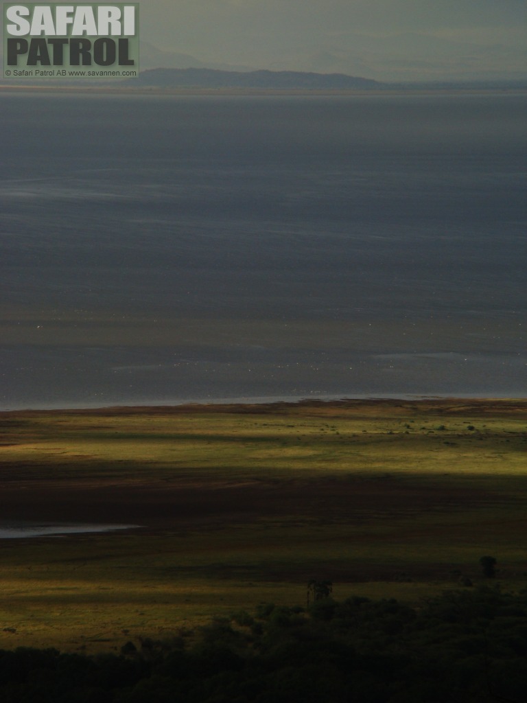 Lake Manyara National Park. (Tanzania)