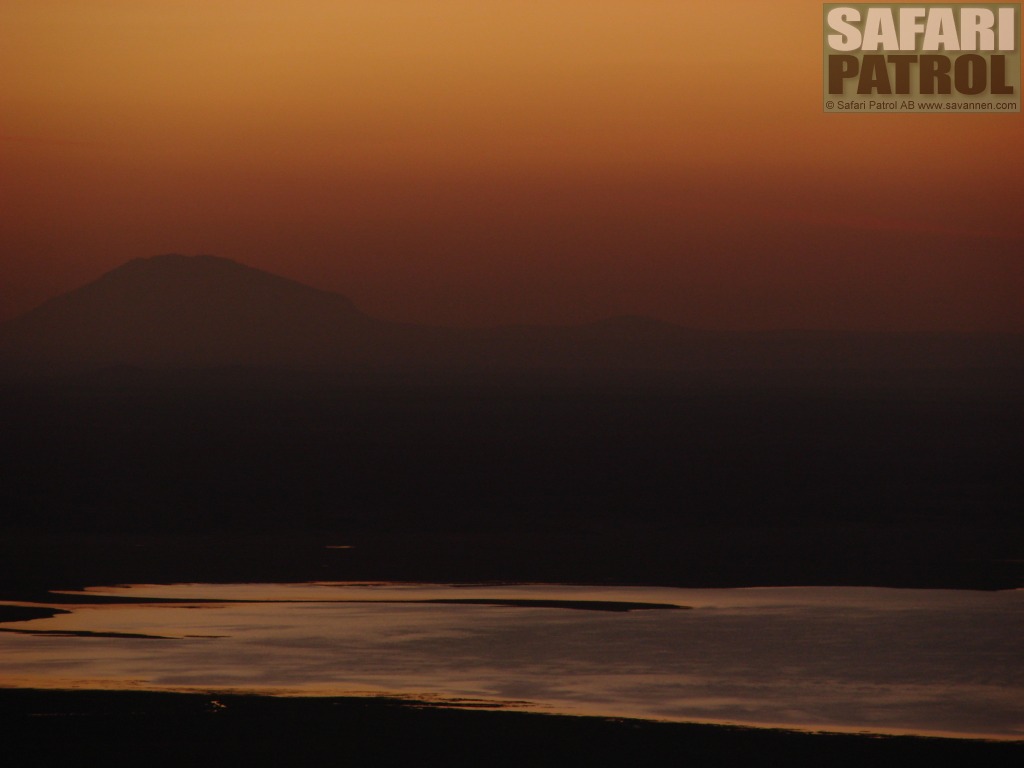 Lake Manyara National Park. (Tanzania)