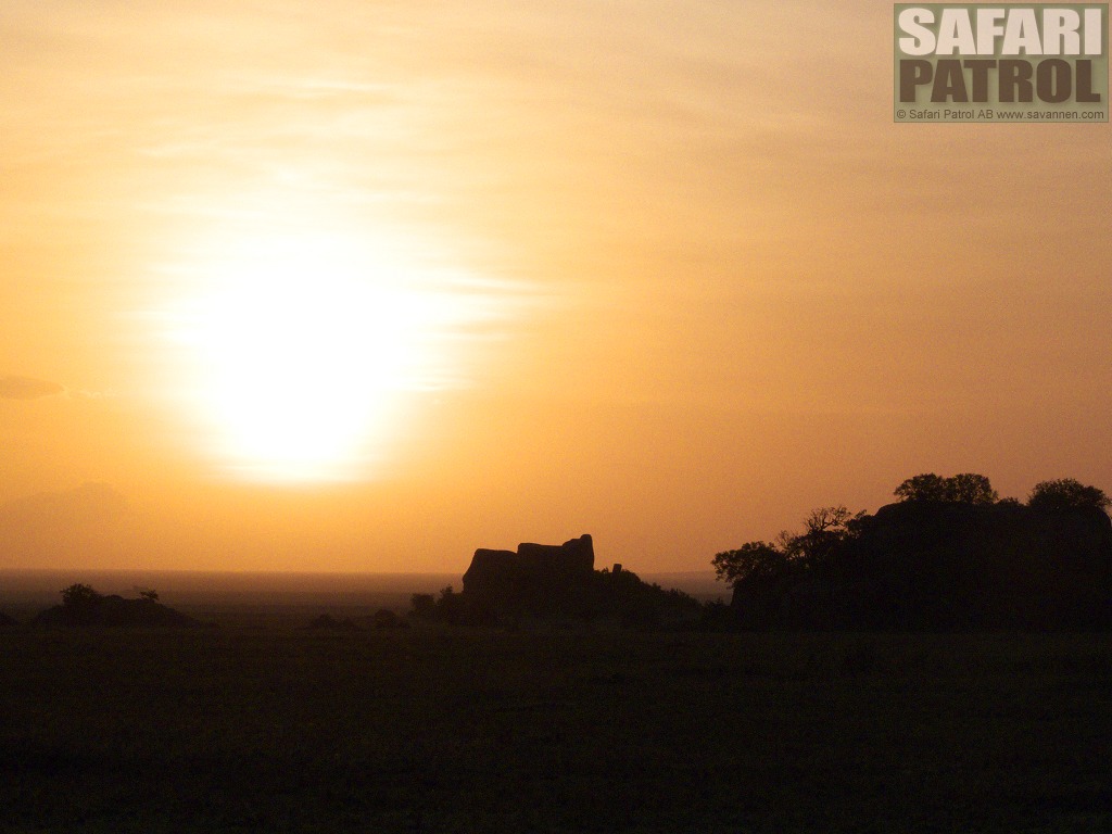 Moru Kopjes. (Sdra Serengeti National Park, Tanzania)
