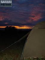 Tlt p mobil camp. (Tarangire National Park, Tanzania)