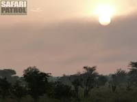 Tarangire National Park. (Tanzania)