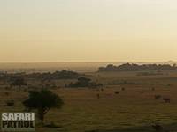 Moru Kopjes. (Serengeti National Park, Tanzania)