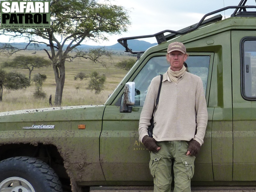 Safariguide vid jeep. (Centrala Serengeti National Park, Tanzania)