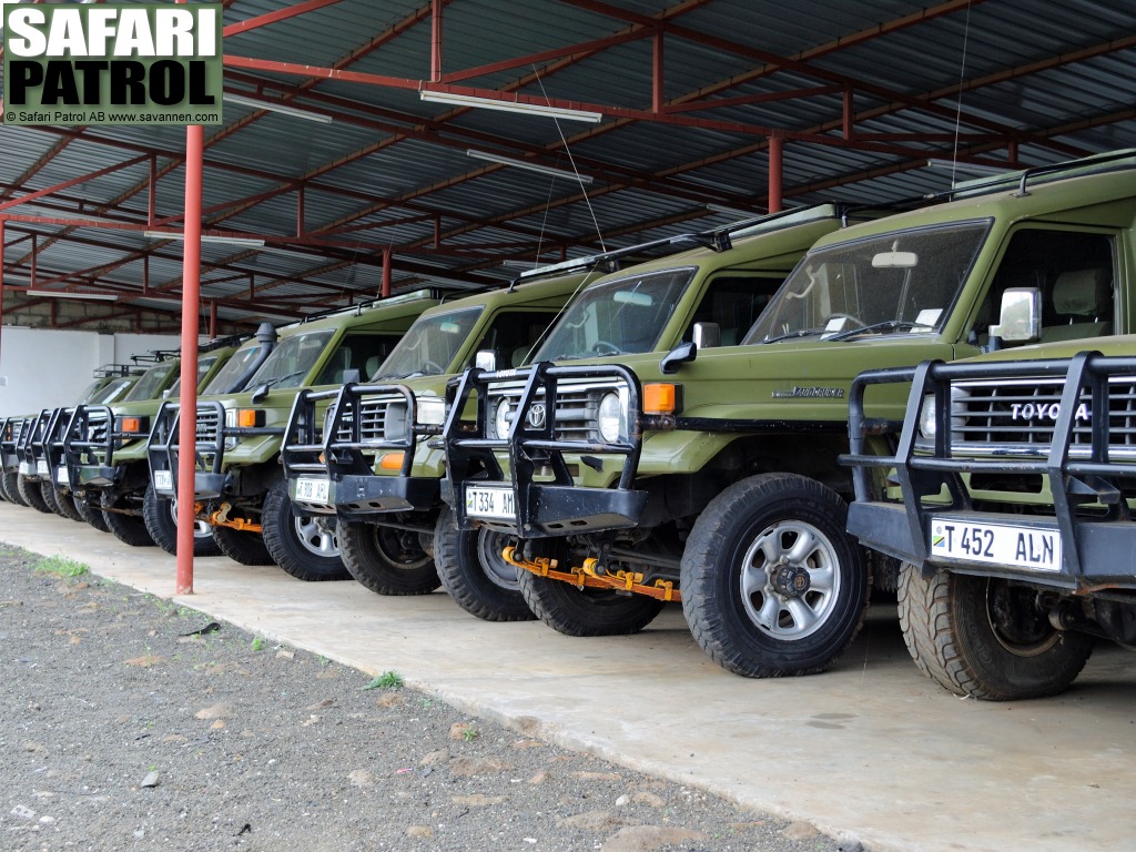 Bilpark med safarifordon hos lokalarrangr. (Arusha, Tanzania)