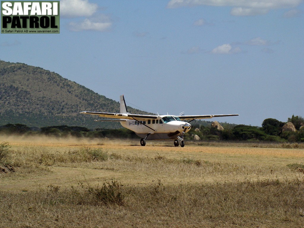 Safariflygplan p flygfltet. (Seronera i centrala Serengeti National Park, Tanzania)