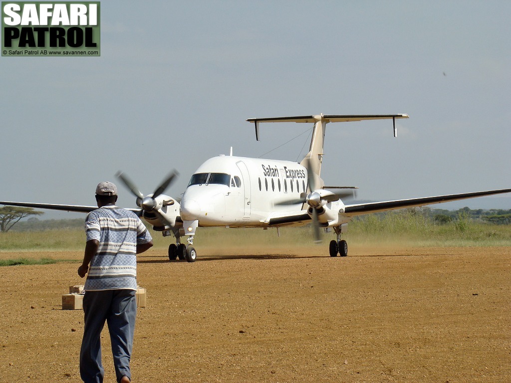 Safariflygplan p flygfltet. (Seronera i centrala Serengeti National Park, Tanzania)