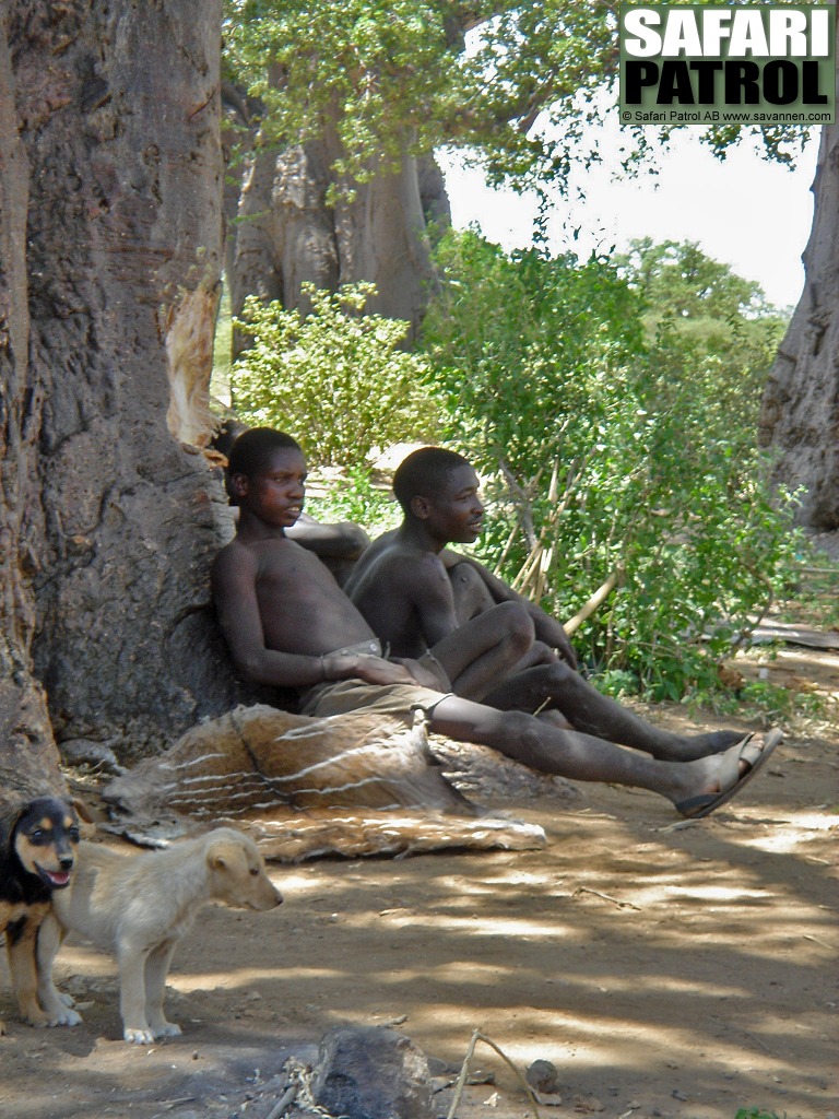 Mn ur jgar- och samlarstammen wahadzabe. (Lake Eyasi, Tanzania)