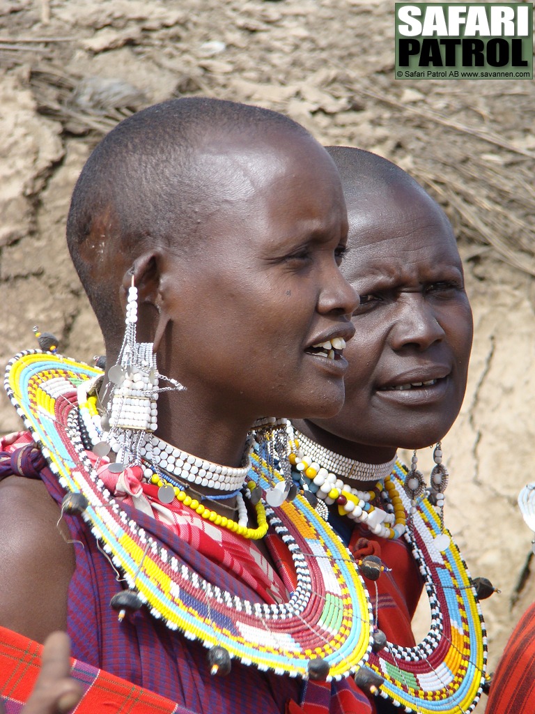 Prydda massajkvinnor. (Ngorongoro Conservation Area, Tanzania)