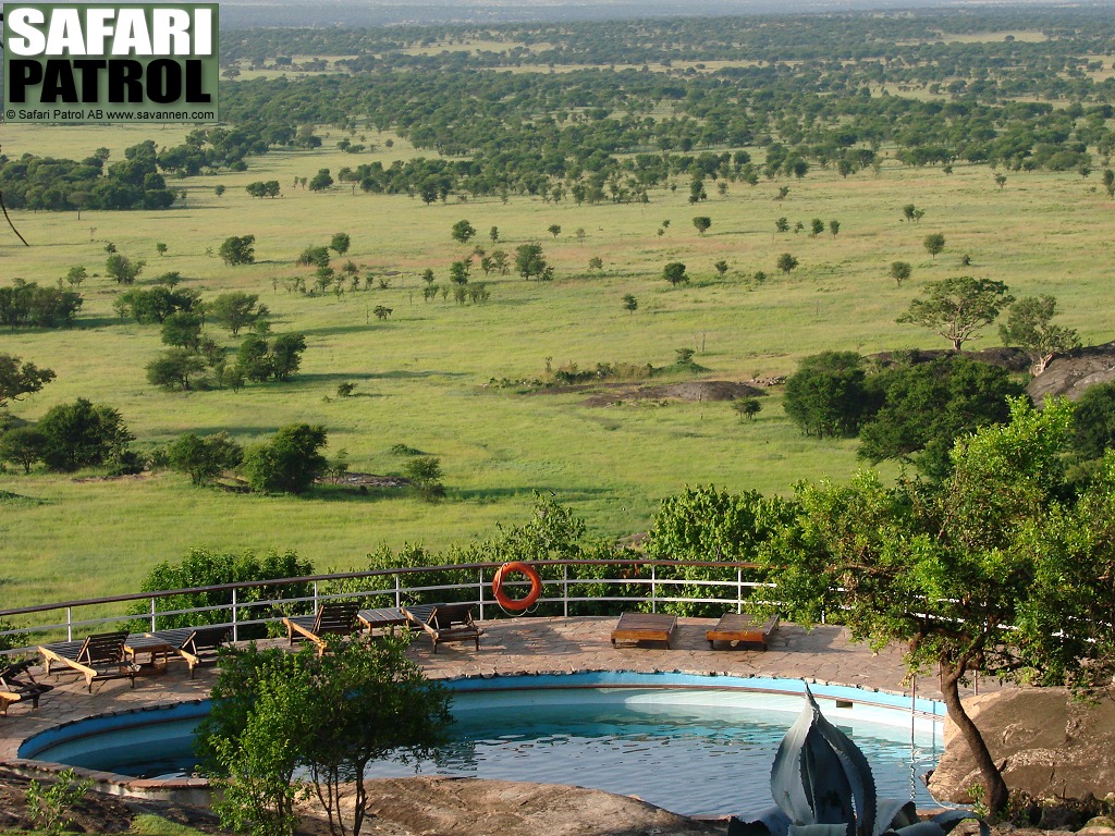 Loboomrdet sett frn Lobo Wildlife Lodge. (Norra Serengeti National Park, Tanzania)