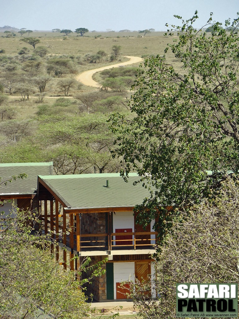 Seronera Wildlife Lodge. (Serengeti National Park, Tanzania)