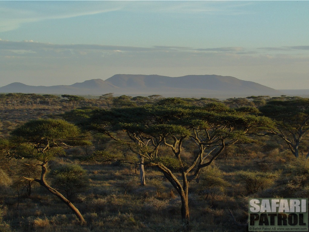 Vy ver Seronera. (Centrala Serengeti National Park, Tanzania)