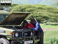 Motorkrngel i bushen. (Ngorongoro Conservation Area, Tanzania)