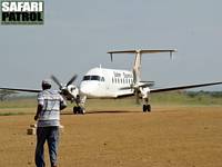 Safariflygplan p flygfltet. (Seronera i centrala Serengeti National Park, Tanzania)