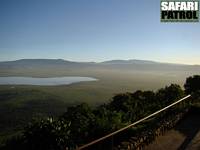 Ngorongorokratern sedd frn Ngorongoro Wildlife Lodge uppe p kraterkanten. (Ngorongorokratern, Tanzania)