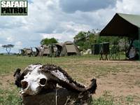 Mobil camp i Moru Kopjes. (Sdra Serengeti National Park, Tanzania)