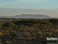 Vy ver Seronera. (Centrala Serengeti National Park, Tanzania)