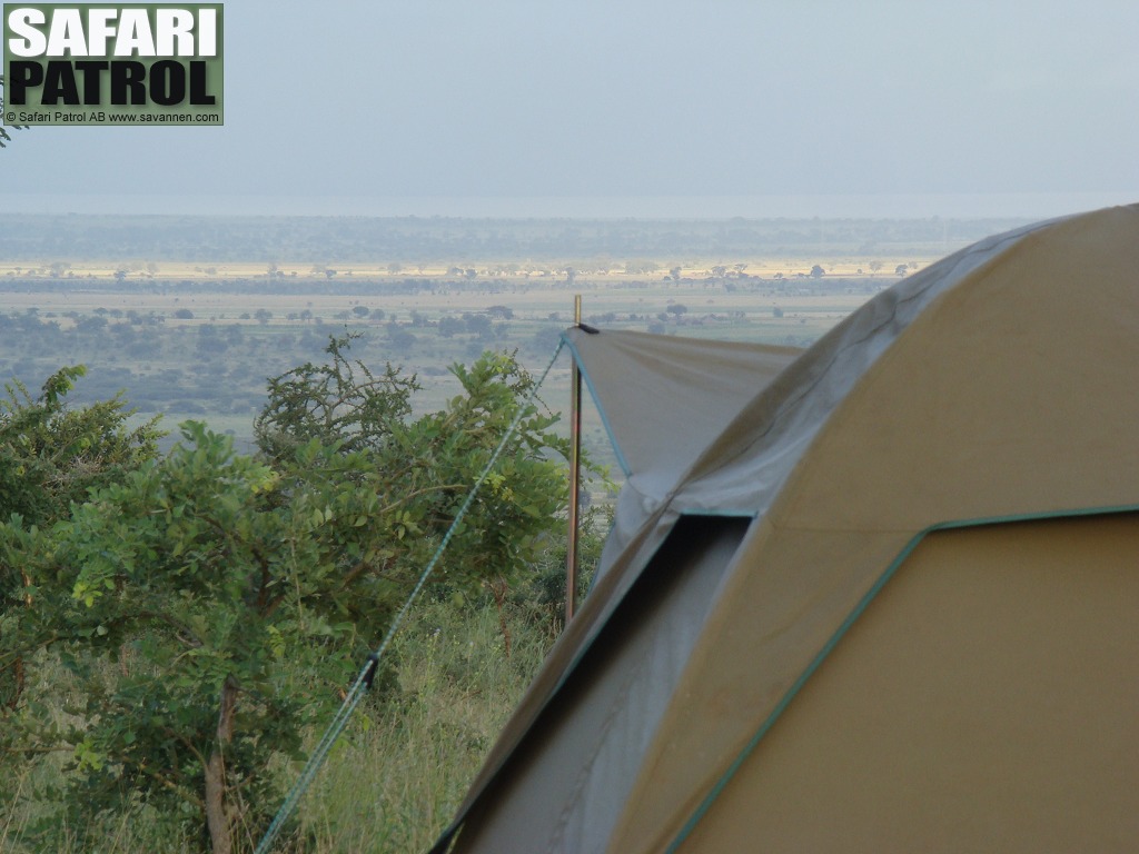 Bushvy frn mobil camp. (Tarangire National Park, Tanzania)