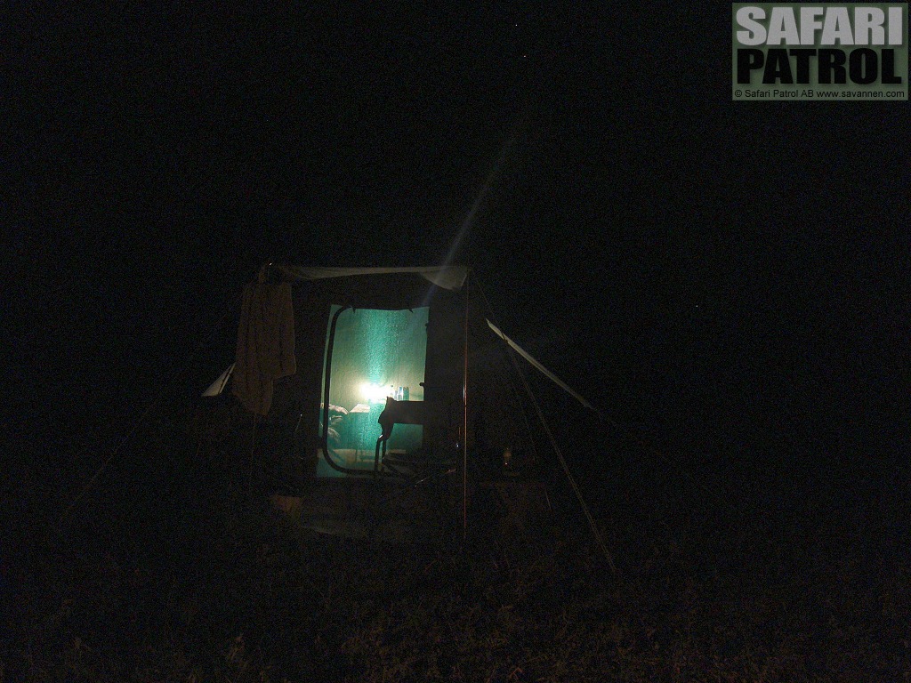 Natt p mobil camp. (Tarangire National Park, Tanzania)