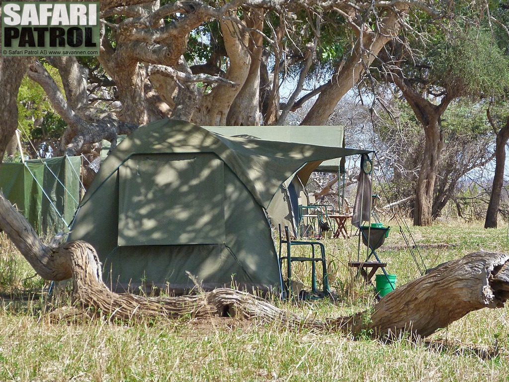 Mobil camp p special camp site Mlegea. (Tarangire National Park, Tanzania)