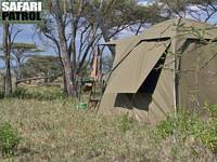 Mobil camp p special camp site Olobaye. (Sdra Serengeti National Park, Tanzania)