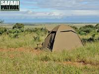 Mobil camp p privat mark vid parkgrnsen. (Tarangire National Park, Tanzania)